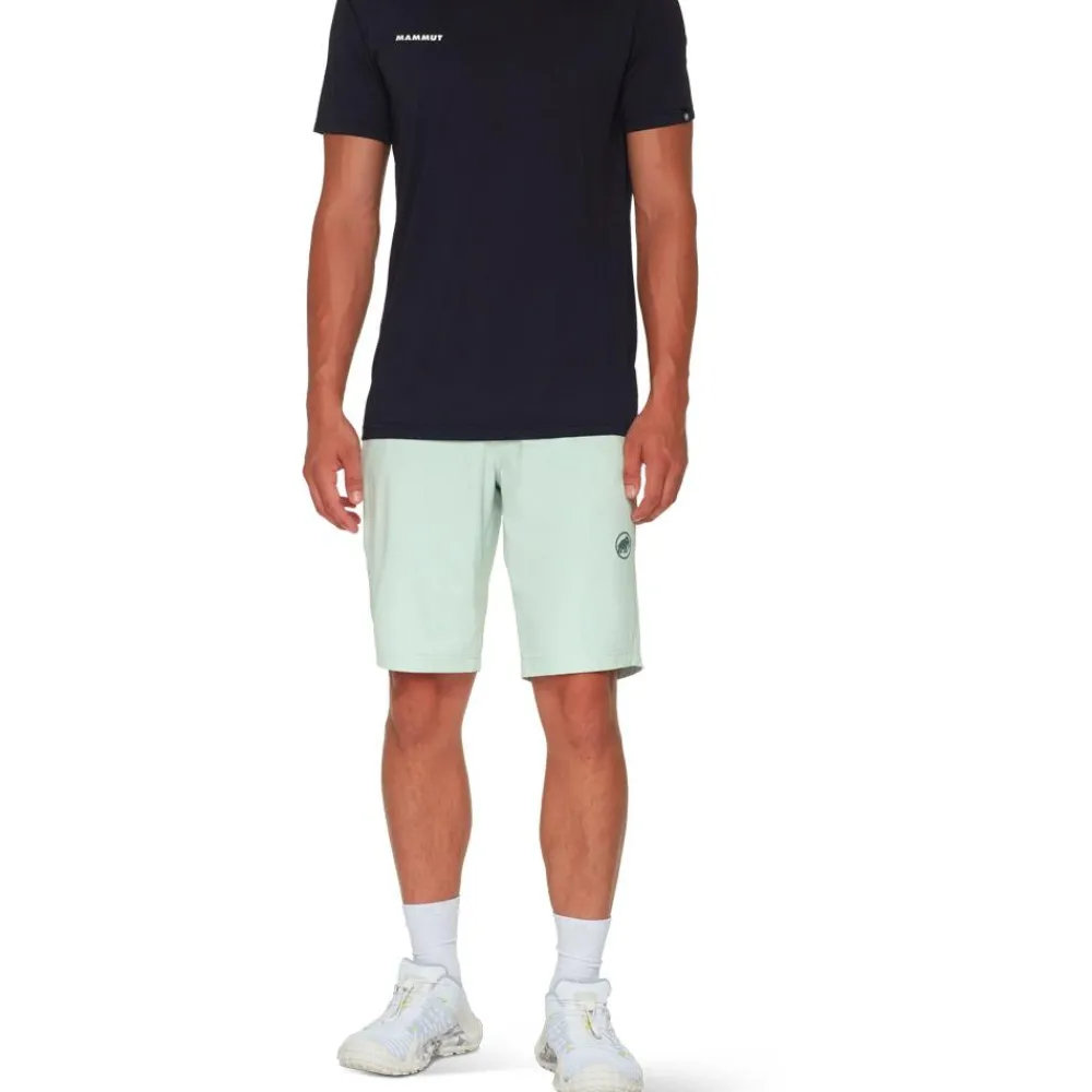 Short Rando<Mammut Short de rando Hiking V Shorts M Silver Sage