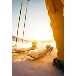 Online Ski Zx100 Créez Votre Pack