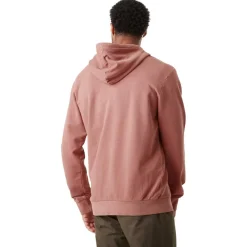 Sweat - Pull - Poncho<Picture Sweat Basement Leo Hoodie Washed Burlwood