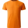 T-Shirt Trail|T-Shirt Randonnée<DARE2B Tee-shirt de rando Accelerate Tee Buckskin