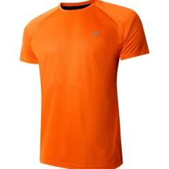 Clearance Tee-shirt de rando Accelerate Tee Spicy Route T-Shirt Trail|T-Shirt Randonnée