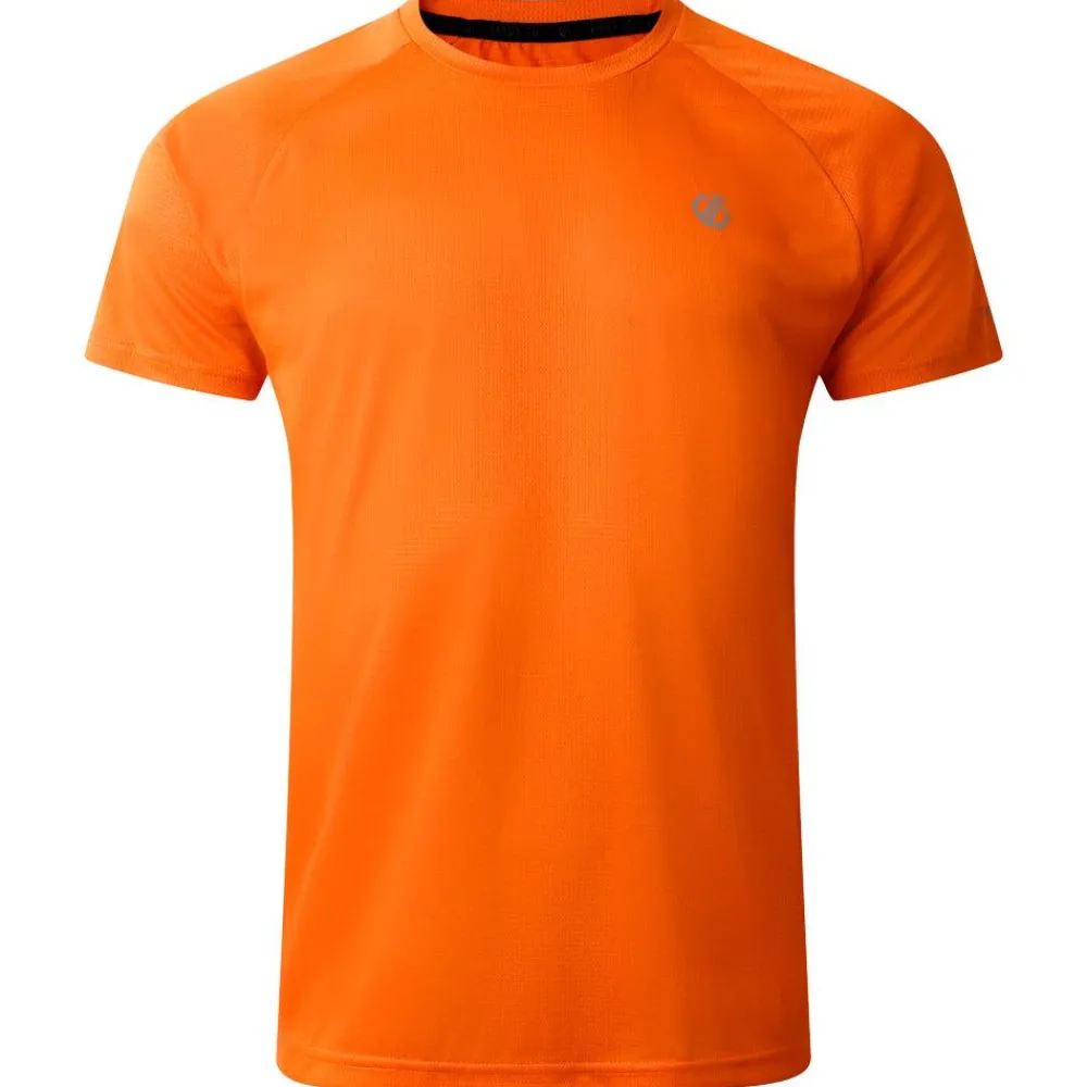 Clearance Tee-shirt de rando Accelerate Tee Spicy Route T-Shirt Trail|T-Shirt Randonnée