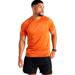 Clearance Tee-shirt de rando Accelerate Tee Spicy Route T-Shirt Trail|T-Shirt Randonnée