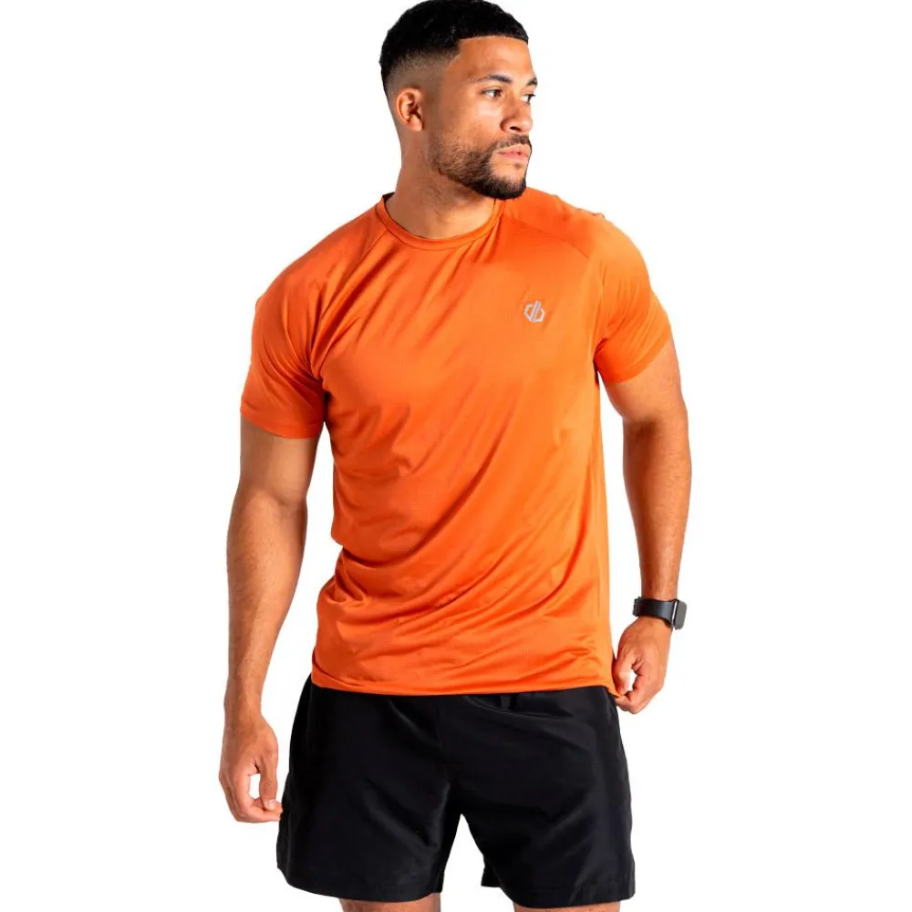 Clearance Tee-shirt de rando Accelerate Tee Spicy Route T-Shirt Trail|T-Shirt Randonnée
