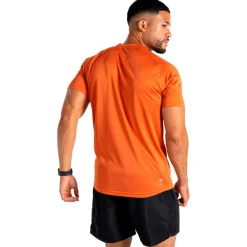 Clearance Tee-shirt de rando Accelerate Tee Spicy Route T-Shirt Trail|T-Shirt Randonnée