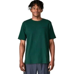 T-Shirt Randonnée<Patagonia Tee-shirt de rando P-6 Logo Responsibili-Tee Cascade Green