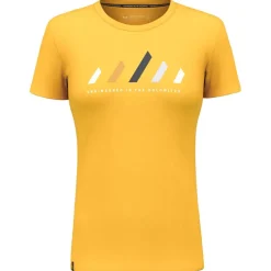Tee Shirt|T-Shirt Escalade<Salewa Tee-shirt de rando Pure Stripes Dry T-Shirt W Gold
