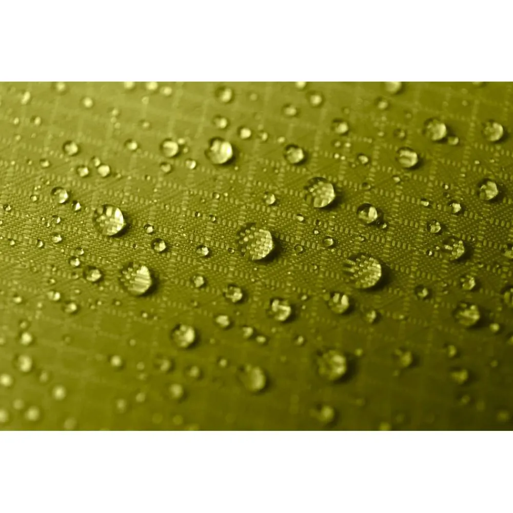 Tente Tunnel|Tente 2 Places<Nemo Tente Hornet Osmo 2P Birch Bud Goodnight Gray