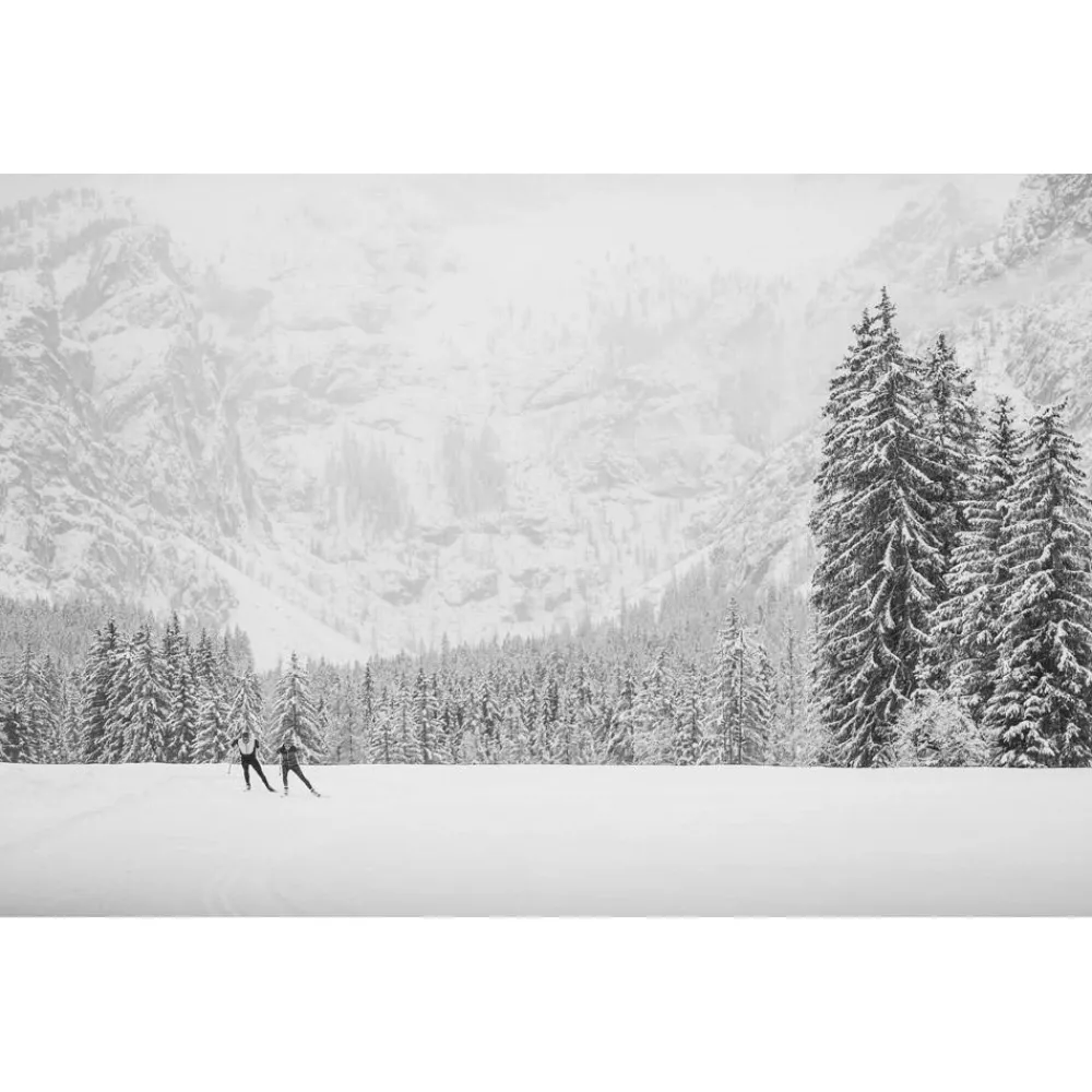 Veste Ski De Fond|Veste Ski De Fond<Loffler Veste Nordique W Hooded Hybrid Lumina Purpur